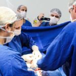 CFM faz alerta gravíssimo: Projeto de Lei pode criminalizar a obstetrícia e afastar médicos da assistência ao parto